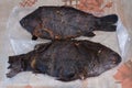 The hot smoked carp caught in the river Volga