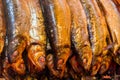 Hot smoked fish Baikal omul