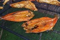 Hot smoked grilled bream fillets with spices are sold on the street.