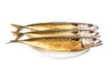 Hot smoked mackerel on plate Royalty Free Stock Photo