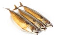 Hot smoked mackerel on plate Royalty Free Stock Photo