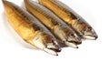 Hot smoked mackerel on plate Royalty Free Stock Photo