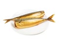 Hot smoked mackerel on plate Royalty Free Stock Photo