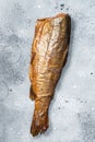 Hot smoked rainbow river trout headless. Gray background. Top view