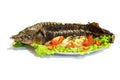 Hot smoked sturgeon. Royalty Free Stock Photo