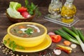 Hot soup with green lentil, vegetables and spices Royalty Free Stock Photo