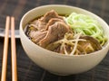 Hot and Sour Beef Broth With Spinach Ramen Noodles Royalty Free Stock Photo