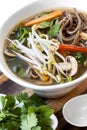 Hot and Sour Vegetable Soup with Soba Noodles and Bean Sprouts