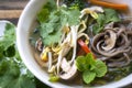 Hot and Sour Vegetable Soup with Soba Noodles and Bean Sprouts Royalty Free Stock Photo