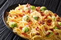 Hot spaghetti cooked with Brussels sprouts, bacon, garlic covered with creamy cheese sauce close-up on a plate on the table. Royalty Free Stock Photo