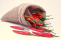 Hot Spice Royalty Free Stock Photo