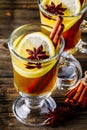 Hot spiced Apple cider Toddy with lemon, honey and cinnamon stick in glass Royalty Free Stock Photo