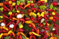 Hot spices at a string Royalty Free Stock Photo