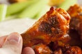 Hot and Spicey Buffalo Chicken Wings Royalty Free Stock Photo