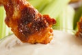 Hot and Spicey Buffalo Chicken Wings Royalty Free Stock Photo