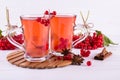 Hot spicy beverage with viburnum in glass cups with fresh viburnum berries and cinnamon sticks, anise stars