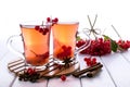 Hot spicy beverage with viburnum in glass cups with fresh viburnum berries and cinnamon sticks, anise stars