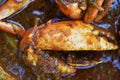 Hot and spicy Chettinad crab masala
