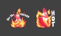 Hot Spicy Chicken with Fire and Chilli Pepper as Grill and Roast Sticker Vector Set