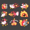 Hot spicy chicken set, rooster on fire, creative logo design templates vector Illustration