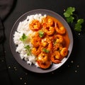 Hot spicy chicken tikka masala in bowl, served with plain rice along Royalty Free Stock Photo