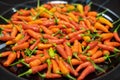 Hot and spicy chillies on a plate Royalty Free Stock Photo