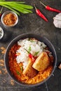 Hot Spicy Crispy Fried Chicken Fillet with Curry and Rice on Dar Royalty Free Stock Photo