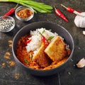 Hot Spicy Crispy Fried Chicken Fillet with Curry and Rice on Dar Royalty Free Stock Photo