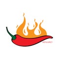 Hot and spicy graphic element