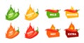 Hot spicy level with flame pepper. Infographic design template with red hot chili pepper on white background. Vector Royalty Free Stock Photo