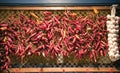 Hot spicy peppers. Hungarian paprika Royalty Free Stock Photo