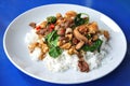 Hot and spicy pork with basil