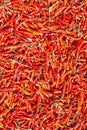 Hot and spicy Red Chilli ,Dried red chili,Pepper,Chillies as background for sale in a local food market,thai food ,close up,textur Royalty Free Stock Photo