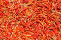 Hot and spicy Red Chilli ,Dried red chili,Pepper,Chillies as background for sale in a local food market,thai food ,close up,textur Royalty Free Stock Photo