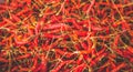 Hot and spicy Red Chilli ,Dried red chili,Pepper,Chillies as background for sale in a local food market Royalty Free Stock Photo