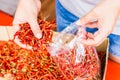 Hot and spicy Red Chilli on hand,Dried red chili,Pepper,Chillies as background for sale in a local food market,thai food ,close up Royalty Free Stock Photo