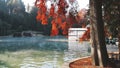 Hot spring autumn pond Garda lake thermal park