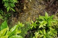 Hot spring and crystal pool