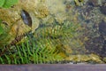 Hot spring and crystal pool