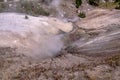 Hot spring and geiser in yellowstone national par