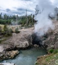 Hot spring and geiser in yellowstone national par