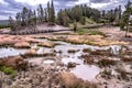 Hot spring and geiser in yellowstone national par