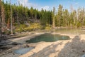 Hot spring geothermal feature in the Norris Geyser Basin of Yellowstone National Park