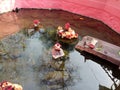 Hot spring in India named Taptapani