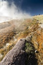 Hot Spring tributary to the Firehole River Yellowstone Royalty Free Stock Photo