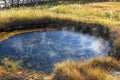 Hot spring at Yellowsone national park. USA