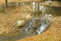 Small Cascade And Stream In Arkansas In Fall