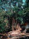 Hot springs in a remote village