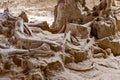 Hot Springs, South Dakota -10.2021: bones being excavated at the Mammoth Dig site caused by a collapsed sink hole Royalty Free Stock Photo