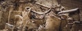 Hot Springs, South Dakota -10.2021: bones being excavated at the Mammoth Dig site caused by a collapsed sink hole Royalty Free Stock Photo